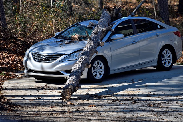 Car accident scene with damaged vehicles